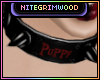 Puppy Collar