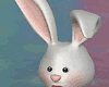 Easter Bunny Decor
