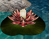 Floating Lotus Candle