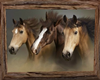 Horses in frame