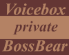 VB GA English private