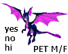 Dragon Triggered Pet