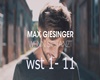 Max Giesinger-Wenn sie T