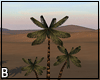 Palm Trees Dune