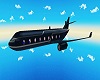 luxury private plane