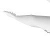 Tatto  onça