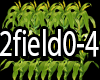 2field0-4 CornField