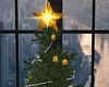 JV Christmas Tree 2020