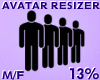 Avatar Resizer 13%