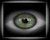Eyes Green [ M/F ]