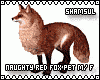Naughty Red Fox Pet M/F