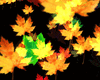 Autumn Effect bundle