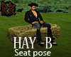 [RK] Hay B Seat