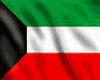 Kuwait flag - Shirt