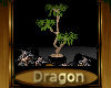 [my]Dragon Bonzai Tree
