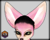 soft pink fox ears