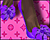 Bow Shoes