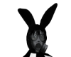 Black Bunny & Gas Mask