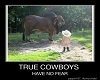 True cowboys