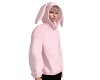 ❥m Bunny hoodie M