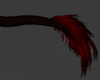 Crimson Lion Tail