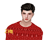 Z梅 red x-mass