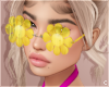 !© Flower Vision Yellow