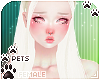 [Pets] Quin | Thea