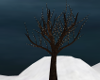 ~SB Winter Lit Tree