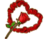 roses heart