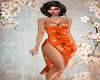 Orange Beach Dress