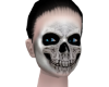 DIANE MH |Skull 1