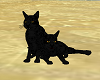 Animated Black Cats