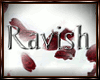 [P&P]Ravish Dream -Drs-
