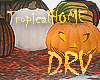 Pumpkins_Seats_DRV