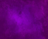 the purple room