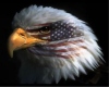 Eagle Head w/ Flag