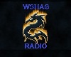 WSHAG RADIO BOOTY SHORTS