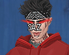 H O D ラ
