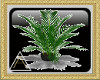 (AL)Realistic Plant 1
