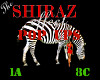 Pop Up Zebra 1