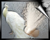 d3✠ 2 White Peacocks
