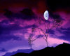 Purple Moonrise