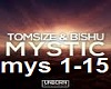 Tomsize&BISHU-Mystic (TR