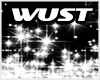 DJ WUST Particle