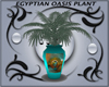 Egyptain Oasis Plant
