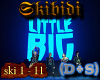 Little Big  Skibidi D+S