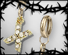 ∆ X. Gold Paved