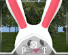 Easter Bunny Display