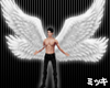! Angel Wings Animated